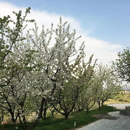 Cherry Orchard House Hébergement de vacances Smartno