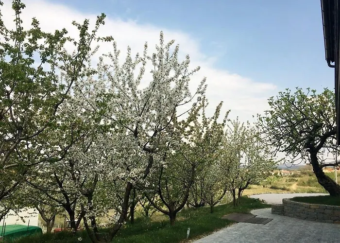 Cherry Orchard House בית נופש שמארטנו