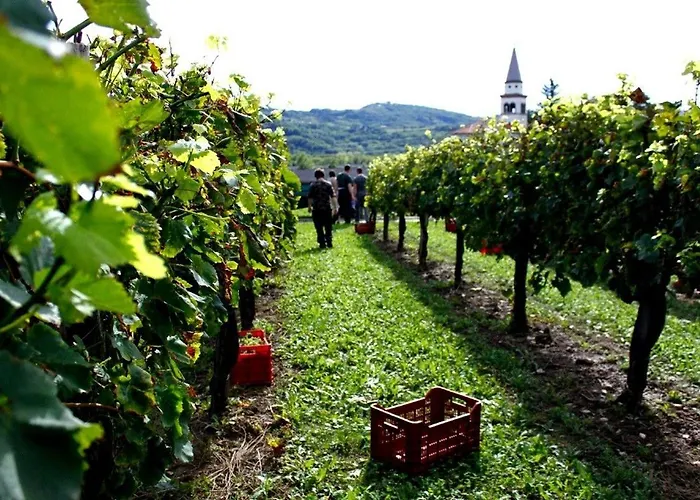 Hébergement de vacances Cherry Orchard House